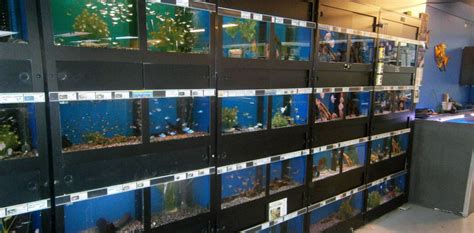 aquarium winkel bergen op zoom
